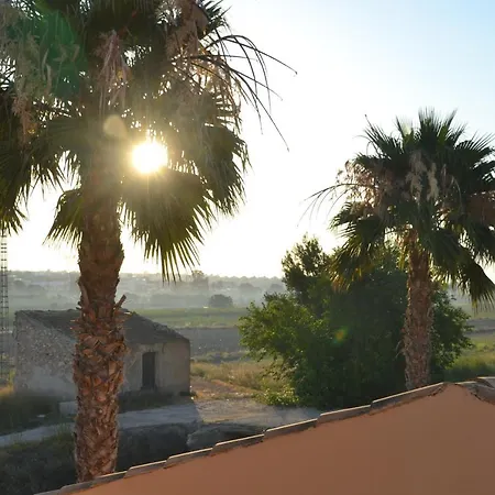 Finca Milagro San Fulgencio