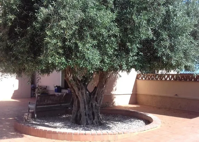 Vakantiehuis Finca Milagro