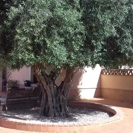 Hébergement de vacances Finca Milagro